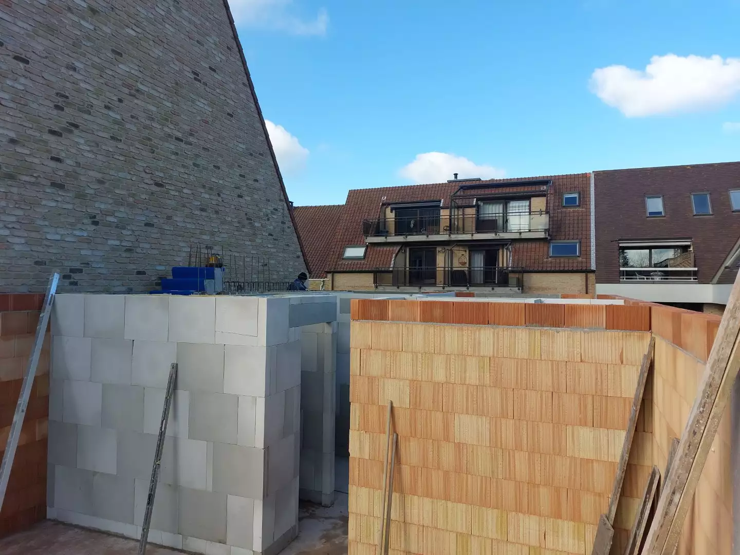 2023 Koksijde - Woonn Mint